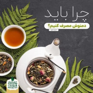 چرا باید دمنوش مصرف کنیم؟ (قسمت اول)