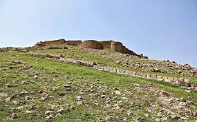 نمایندگی چای رفاه لاهیجان- ایلام