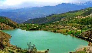 نمایندگی چای رفاه لاهیجان- مازندارن