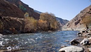 نمایندگی چای رفاه لاهیجان- کرج