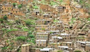 نمایندگی-چای-رفاه-لاهیجان-کردستان