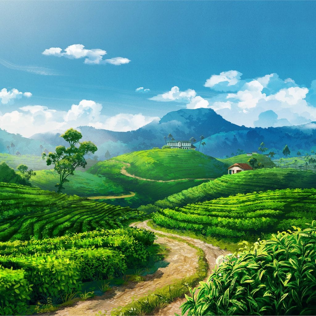 قیمت و خرید چای بهاره 1404 لاهیجان