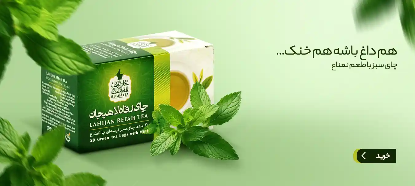 چای تی بگ سبز با نعناع طبیعی