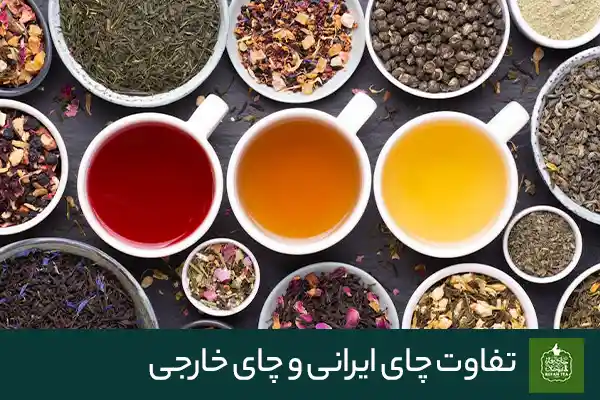 تفاوت چای ایرانی و چای خارجی چیست؟