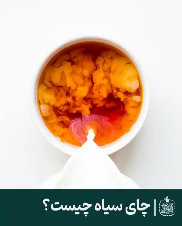 چای سیاه چیست؟