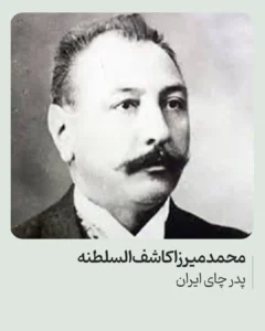 محمد میرزا کاشف‌السلطنه