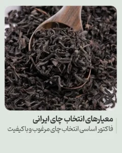 معیارهای انتخاب بهترین و پرفروش‌ترین چای در ایران