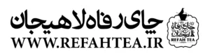 چای رفاه لاهیجان